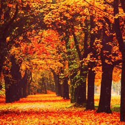 男人想要时间长-张鹏