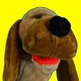 Ralph the Dog Take 2