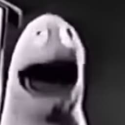 Wilkins (Wilkins coffe)