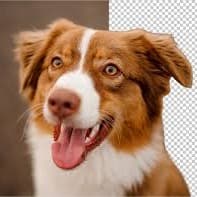 Melhores Vozes da Elevenlabs