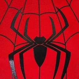 Homem-Aranha (Wirley Contaifer) 