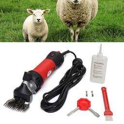 ياتك منظمة ومرتبة