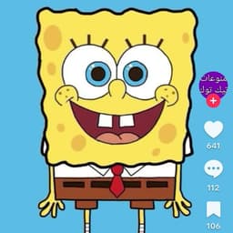 سبونجبوب