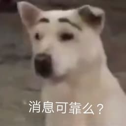 我是谁培养
