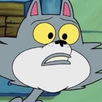 Gato Kenny: Alexandre Moreno