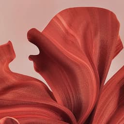 燕莎奥莱-李颜艳