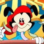 Wakko warner (PT-BR)