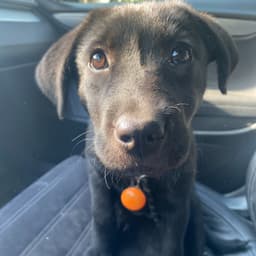 刘老师（志华）