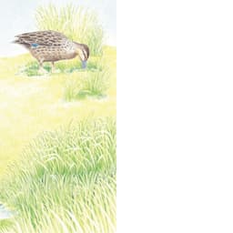 Staying Safe in the Water