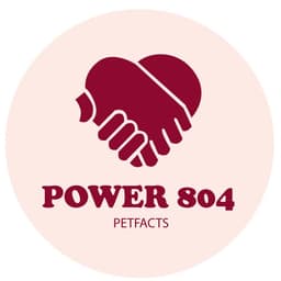 power 804 