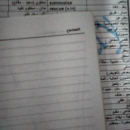 هايدي