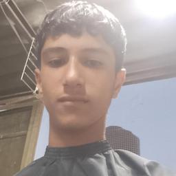 فارس عليان 