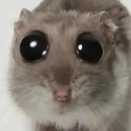 xxx
