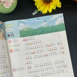 这个班里都有谁