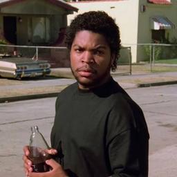 Ice cube 