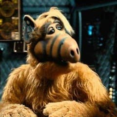 Alf