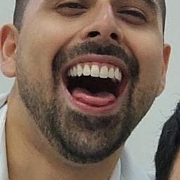 Pássaro 