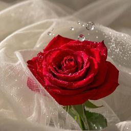 9.18 大部分的男人是抵抗不了