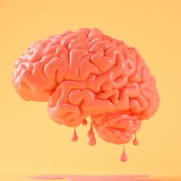 Colocia Test spanish