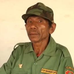 Pak sukra