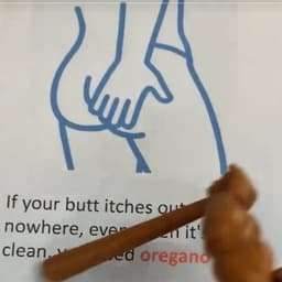 英语男5（代入感强）