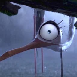 Erin the Heron (Migration)