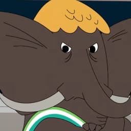 Mr Trompe (grosha and Mr B)