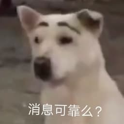 我是谁