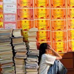 李玫瑾（柔和）