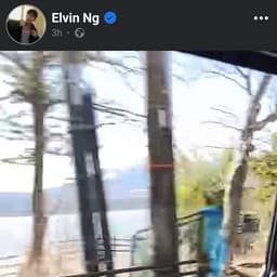 Elvinng 