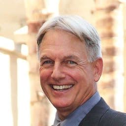 Mark Harmon 