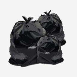 شهد الرئيسة