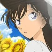 毛利蘭-台灣國語配音-魏晶琦