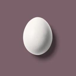 egg