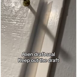 3.4 FFJ 英语女 ZMT