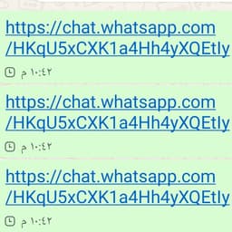 عصام الشوالي