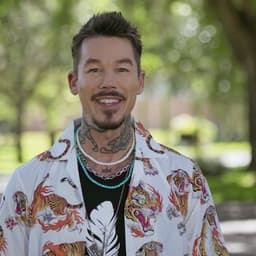 David bromstad