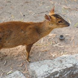 Si trabajas más de diez horas parado