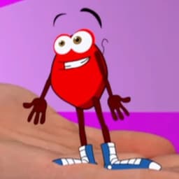 Vera The Traveling Flea (2011)