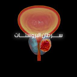 ليث