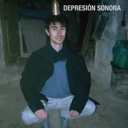 Depresión sonora (ya no hay verano(
