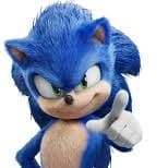 Sonic The hedgehog 