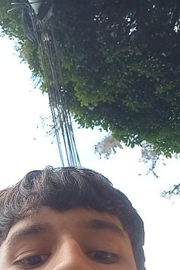 Misaele