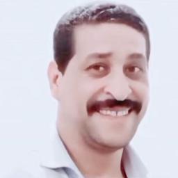 القرد