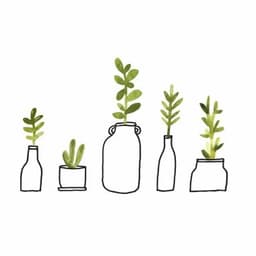 インスタリール用