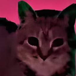 Kiree chudanir pola?