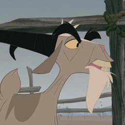 Jeb (Home On The Range)