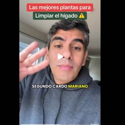 音频克隆Plantas para limpiar el hígado