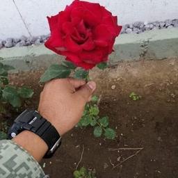 Nice one 