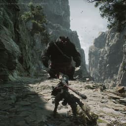 你看看这个女的呀